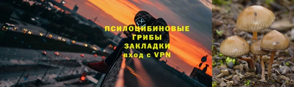 хмурый Инсар