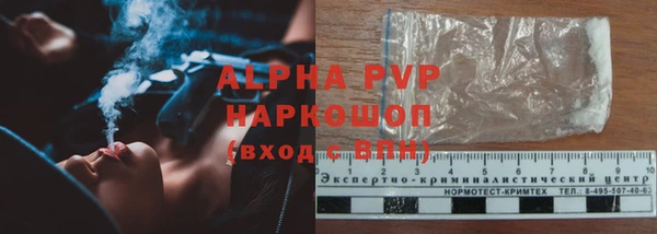 хмурый Инсар