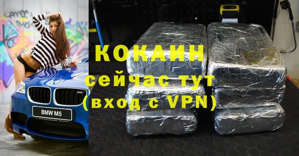 хмурый Инсар