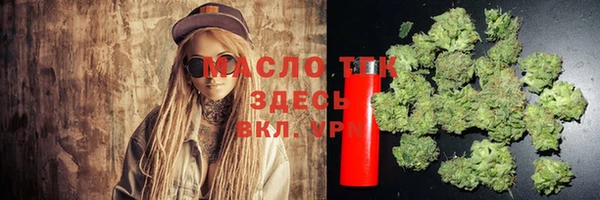 хмурый Инсар